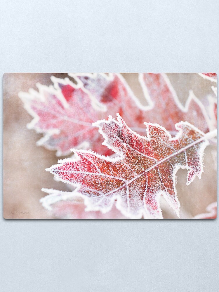 Alternate view of First Frost Metal Print