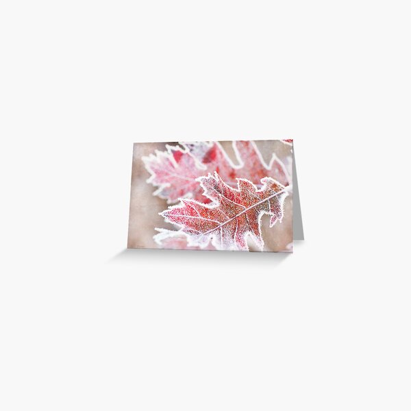 First Frost Greeting Card