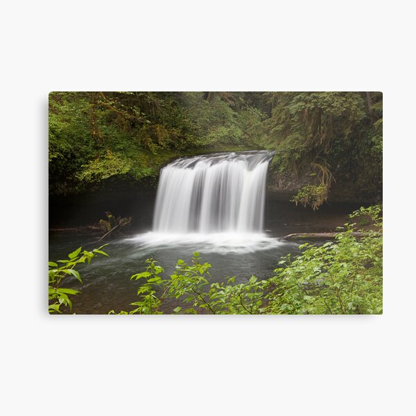 Upper Butte Creek Falls, Oregon Metal Print