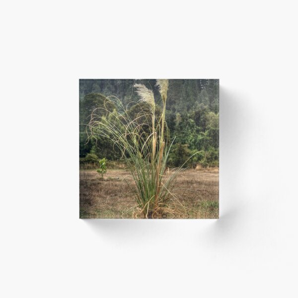 lli foxtail Acrylic Block