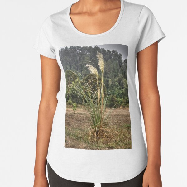 lli foxtail Premium Scoop T-Shirt