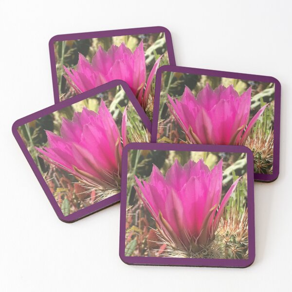 Item preview, Prickly cactus flower Fuchsia Hot - Pink color by Iritof designed and sold by iritof.
