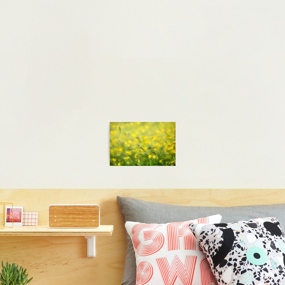 Item preview, Photographic Print designed and sold by Donna-R.