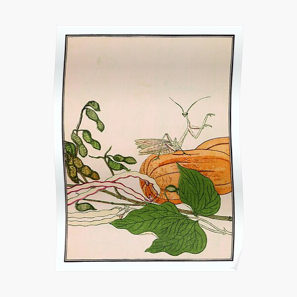 Kitagawa Utamaro - The Insect Book 06 Poster