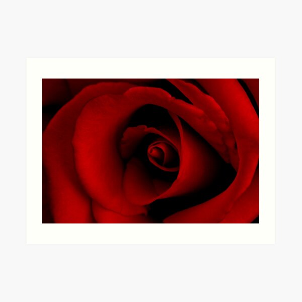 ~ scarlet fever ~ Art Print