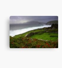 The Irish Coast Canvas Print