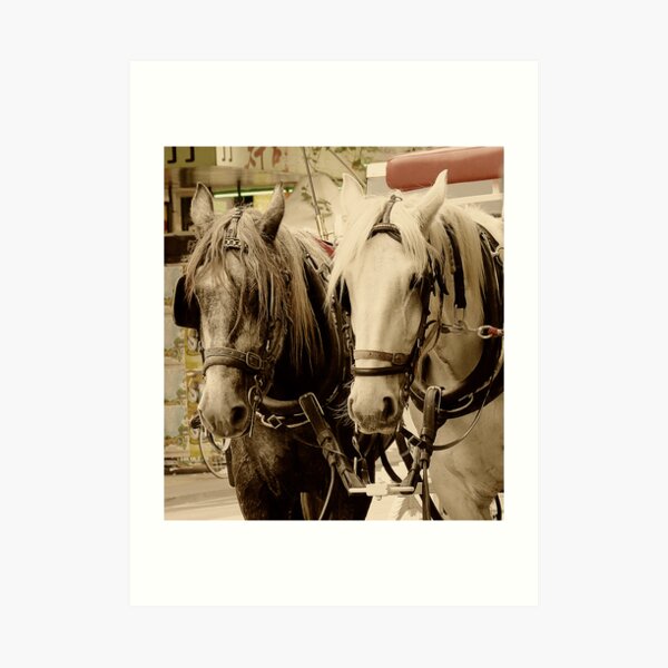 Horses Two Art Print