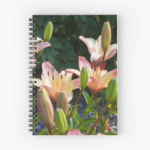 Item preview, Pink Lilies  designed and sold by Sandra Foster.