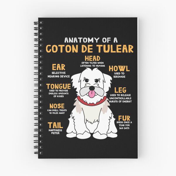 Item preview, Anatomy of Coton de tulear Dog designed and sold by rafaeltto.