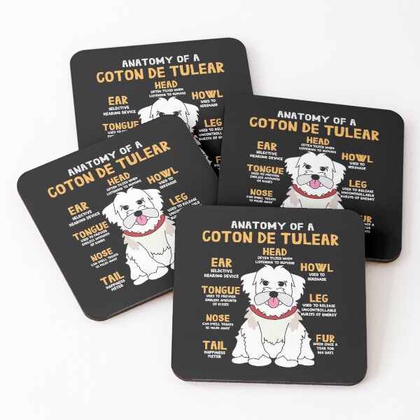 Item preview, Anatomy of Coton de tulear Dog designed and sold by rafaeltto.
