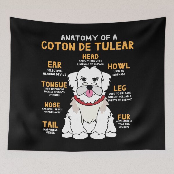 Item preview, Anatomy of Coton de tulear Dog designed and sold by rafaeltto.