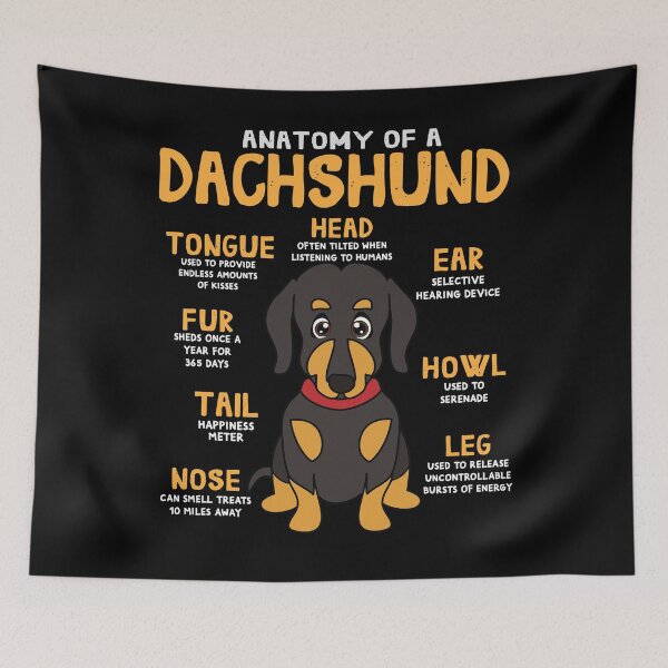 Item preview, Anatomy of Dachshund Dog designed and sold by rafaeltto.