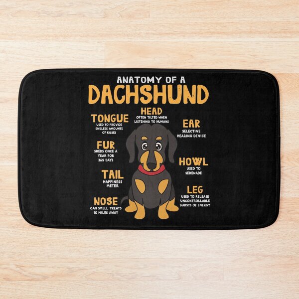 Item preview, Anatomy of Dachshund Dog designed and sold by rafaeltto.