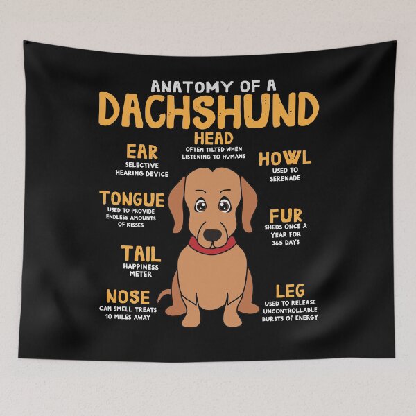 Item preview, Anatomy of Dachshund Dog designed and sold by rafaeltto.