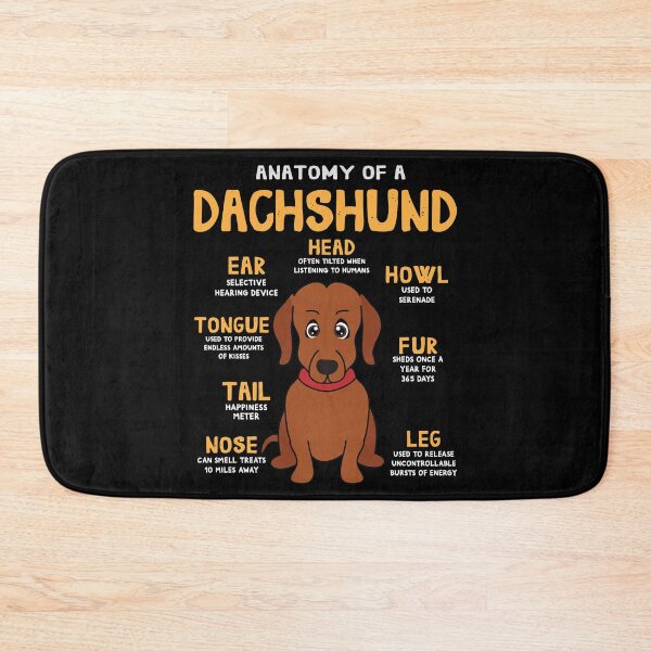 Item preview, Anatomy of Dachshund Dog designed and sold by rafaeltto.