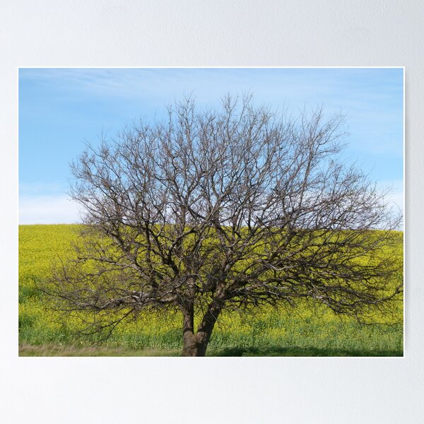 Item preview, Gold and Tree designed and sold by DEB CAMERON.