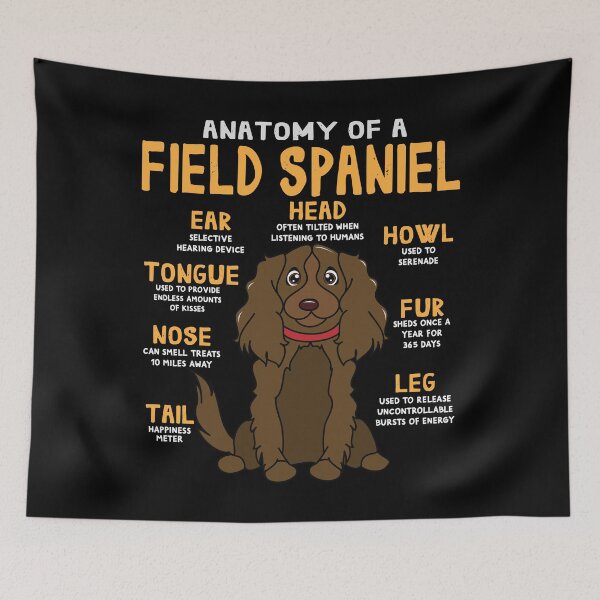 Item preview, Anatomy of Field Spaniel Dog designed and sold by rafaeltto.