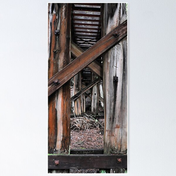 Item preview, What Lies Below - Pemberton WA Australia designed and sold by Bev Woodman.