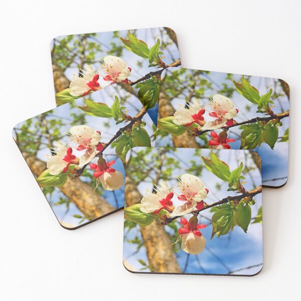 Item preview, Apricot flowers blossom photo by Iritof designed and sold by iritof.