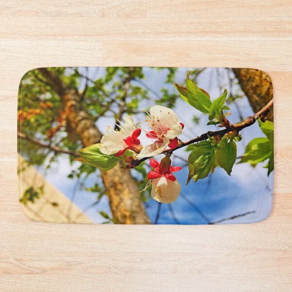 Artikelvorschau, Aprikosenblumen blühen Foto von Iritof entworfen und verkauft von iritof.