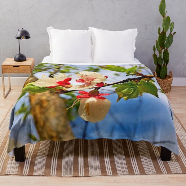 Item preview, Apricot flowers blossom photo by Iritof designed and sold by iritof.