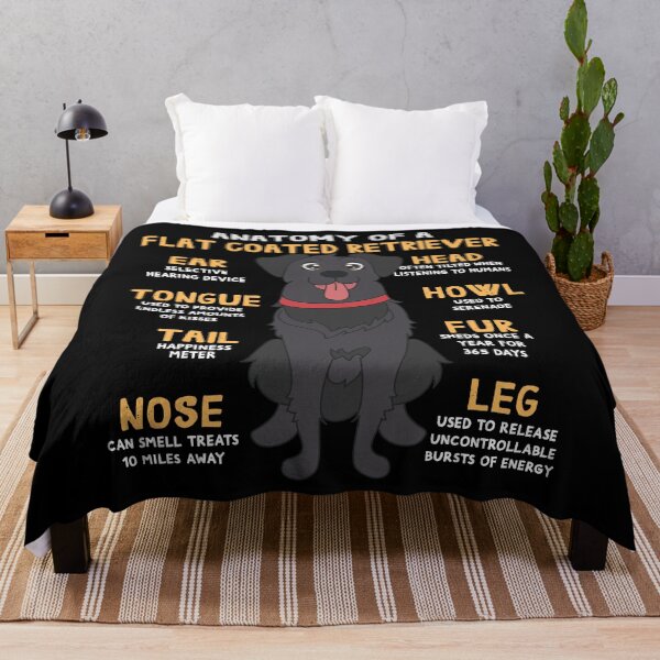 Item preview, Anatomy of Flat Coated Retriever Dog designed and sold by rafaeltto.