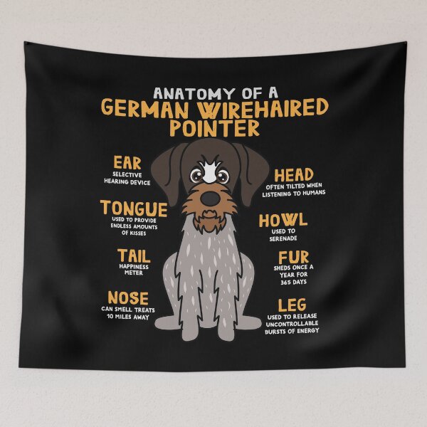 Item preview, Anatomy of German Wirehaired Pointer Dog designed and sold by rafaeltto.