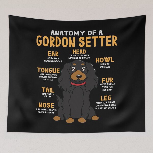 Item preview, Anatomy of Gordon Setter Dog designed and sold by rafaeltto.