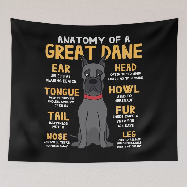 Item preview, Anatomy of Great Dane Dog designed and sold by rafaeltto.