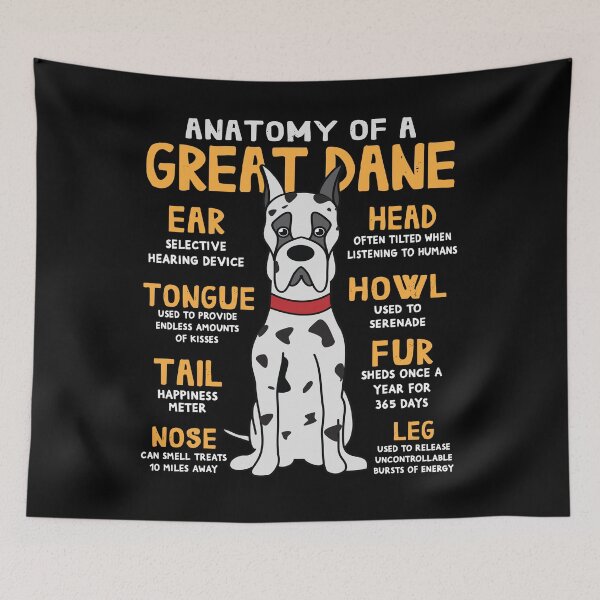 Item preview, Anatomy of Great Dane Dog designed and sold by rafaeltto.