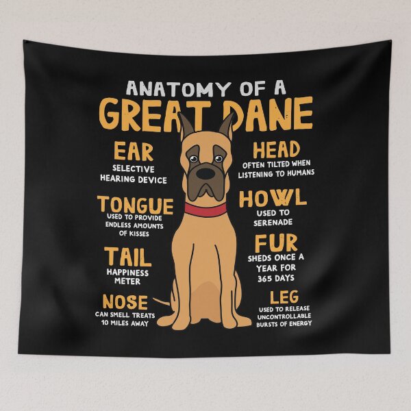 Item preview, Anatomy of Great Dane Dog designed and sold by rafaeltto.