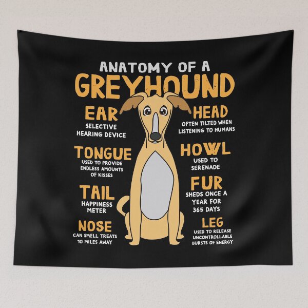 Artikelvorschau, Anatomy of Greyhound Dog entworfen und verkauft von rafaeltto.