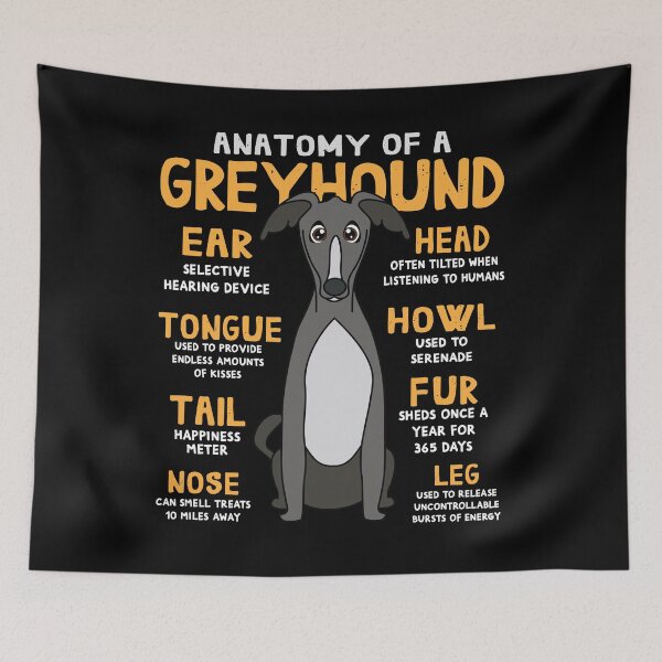 Artikelvorschau, Anatomy of Greyhound Dog entworfen und verkauft von rafaeltto.