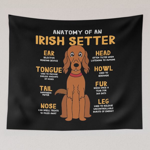 Item preview, Anatomy of Irish Setter Dog designed and sold by rafaeltto.
