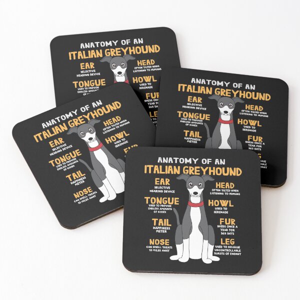 Item preview, Anatomy of Italian Greyhound Dog designed and sold by rafaeltto.