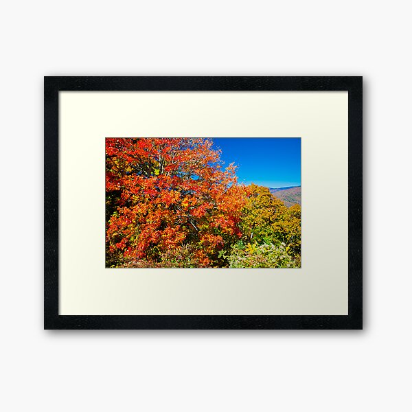 Brilliant Framed Art Print