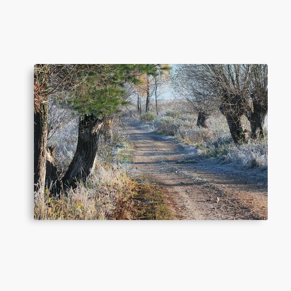First frost in rural pathway Canvas Print