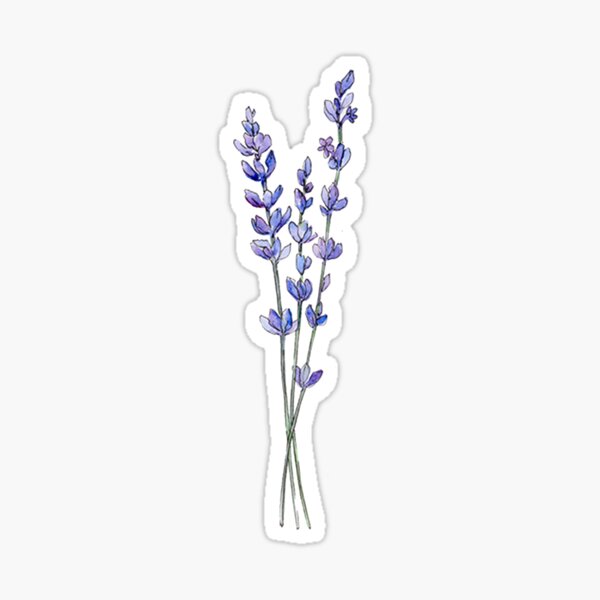 Item preview, Lavender designed and sold by DarlingMegski.