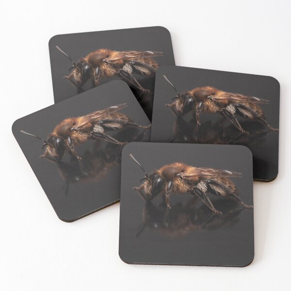 Item preview, Mining Bee - Andrena scotica designed and sold by Dan Newton.