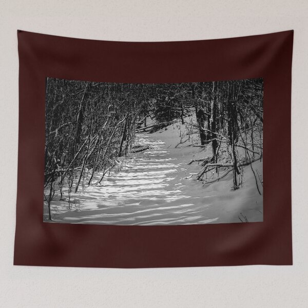 Item preview, The path in black and white designed and sold by CanadianWild418.