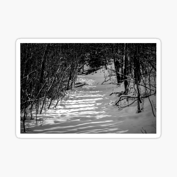 Item preview, The path in black and white designed and sold by CanadianWild418.