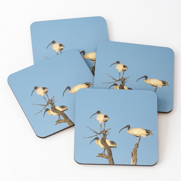 Item preview, White Ibis designed and sold by Peter Ford.