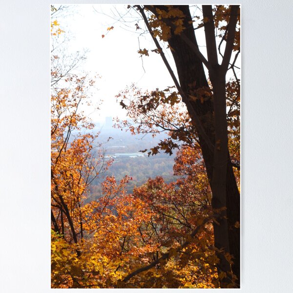 Item preview, ALONG SKYLINE DRIVE designed and sold by Pauline Evans.