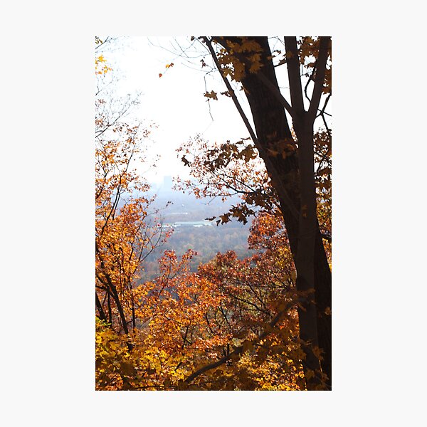 Item preview, ALONG SKYLINE DRIVE designed and sold by Pauline Evans.