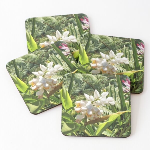 Item preview, Alpinia malaccensis - Ginger plant designed and sold by Margaret Stevens.
