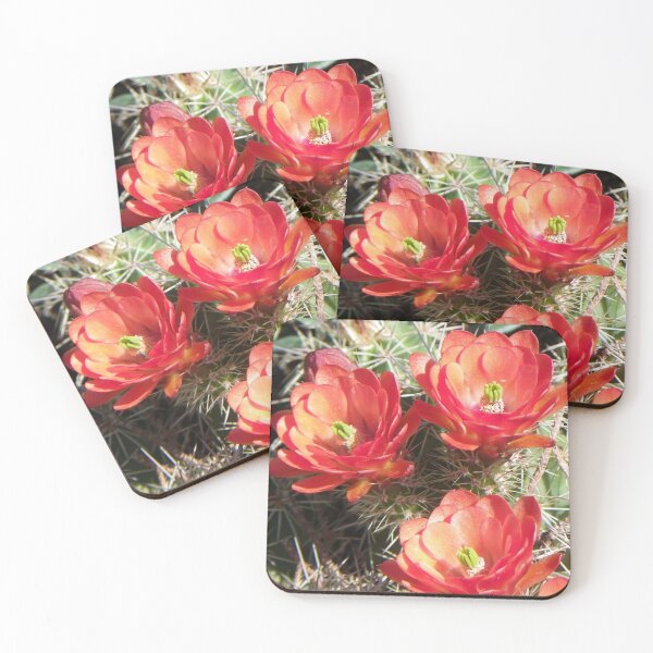 Item preview, Claret Cup Cactus designed and sold by BeeGarland.