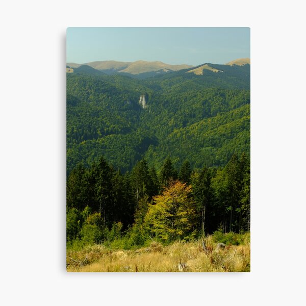 Autumn in the Bucegi Mountains Canvas Print