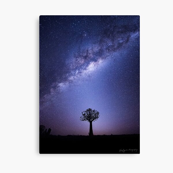 The Zodiacal Glow Canvas Print
