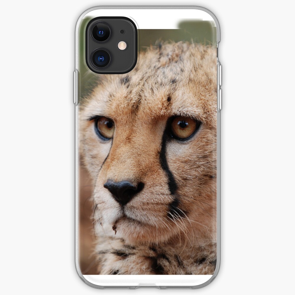 Cheetah Face iphone cover iPhone Case & Cover