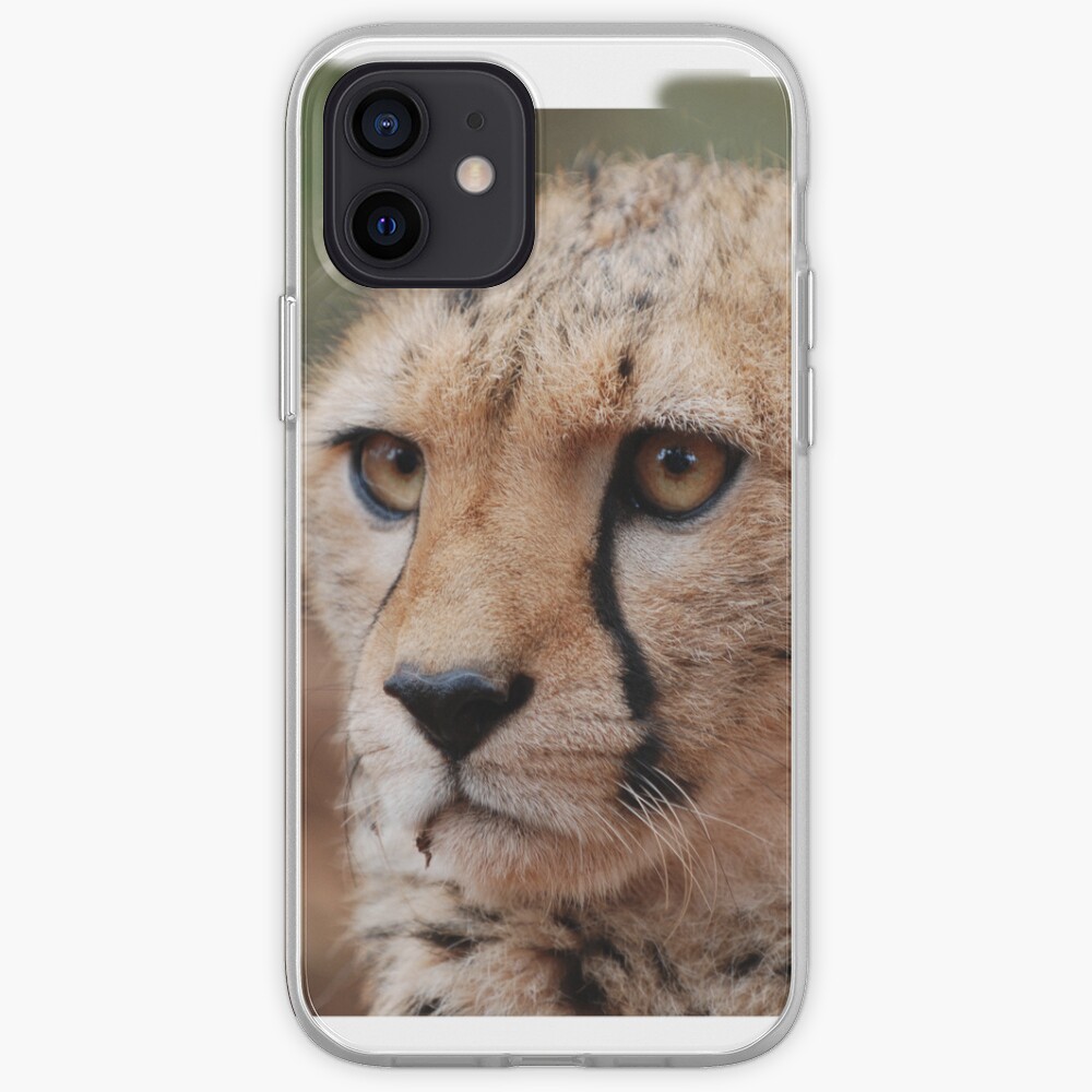 Cheetah Face iphone cover iPhone Case & Cover